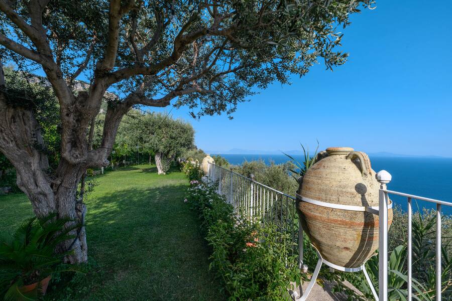 The open-air shower among the lemon trees, and the olive garden suspended above the sea.